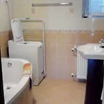 Tó